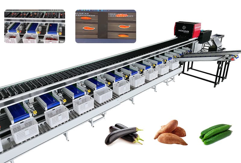 sweet potato optical sorting grading machine.jpg